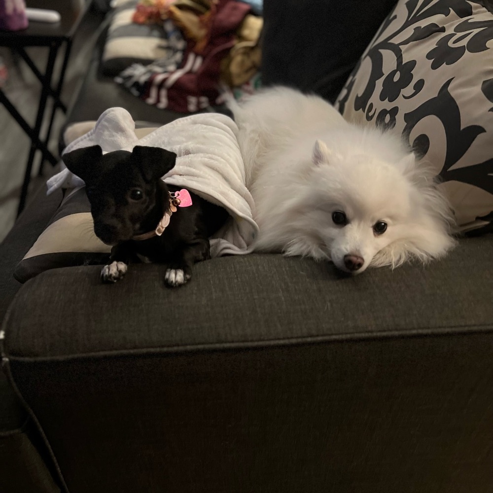 Meet your Posher, Erin